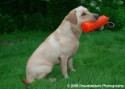 Bella at the Park 003.jpg